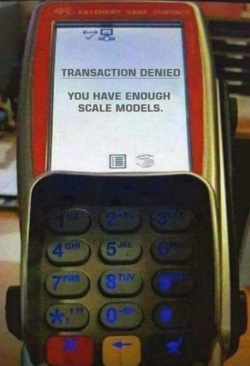 Image may contain: phone, text that says "思 TRANSACTION DENIED YOU HAVE ENOUGH SCALE MODELS."