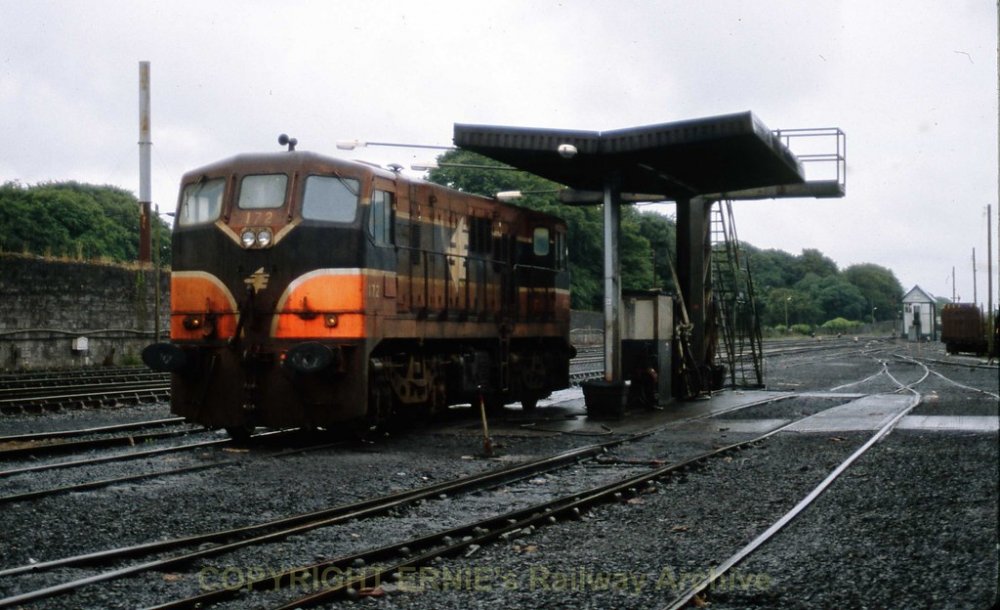 Limerick 172 jul99 s834