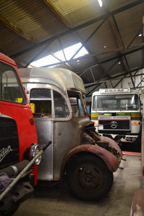 Aherlow Bus Service GUX188 Bedford OB Duple Vista built 1951 originally Lloyd, Oswestry. National Transport Museum of Ireland, Howth 28.9.14