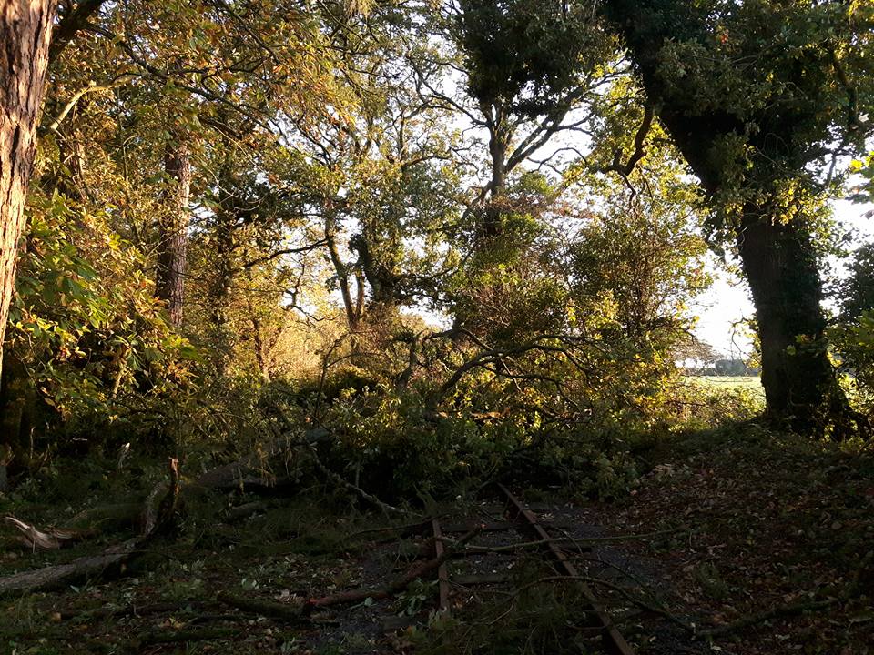 22489882_1677881115595246_2489999673392149776_n.jpg?oh=e473ad52599bcc77baa997d09d9ec77d&oe=5A695BCE