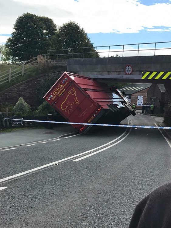 Image may contain: outdoor