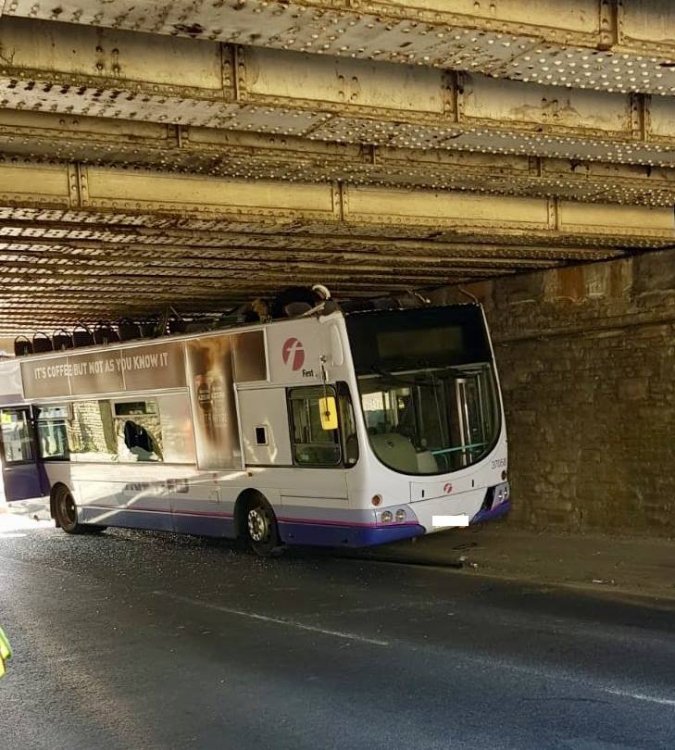 36460038_10156258338115491_2432098847099