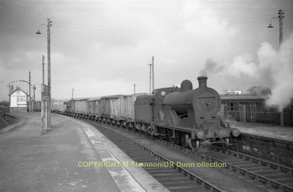 335 Strabane S 60 13Feb65 (Mike Shannon)  335