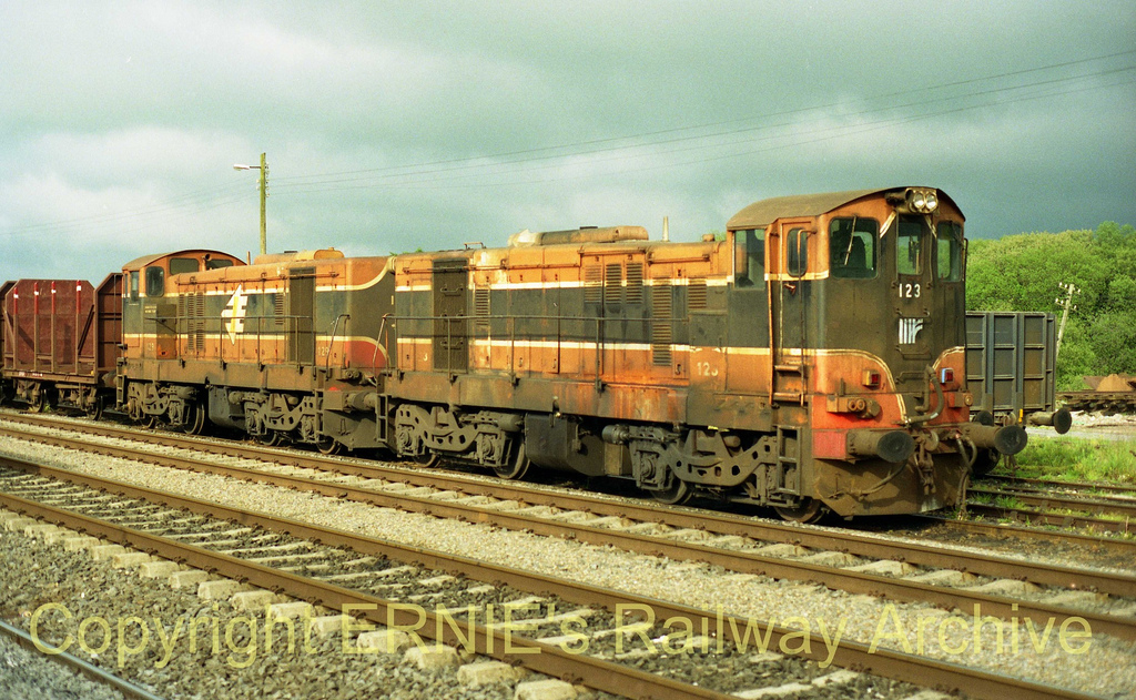 a Limerick Jc 129'123 Timber mts off Waterford May2000 a728