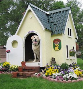 most%20luxurious%20dog%20house%201378.jpg