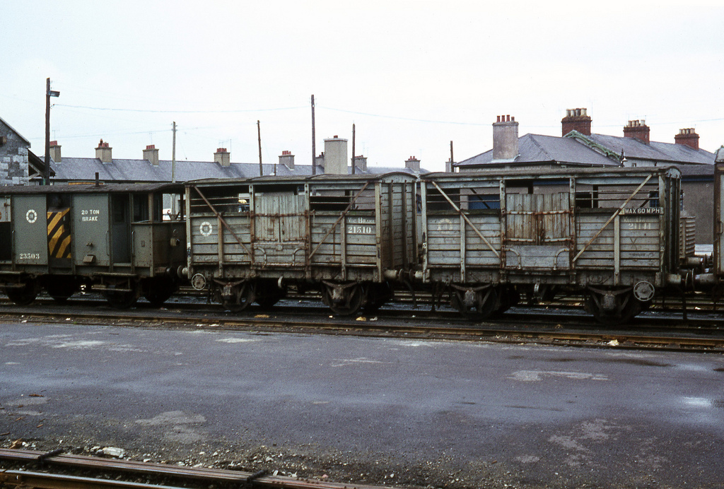 Cattle Wagons