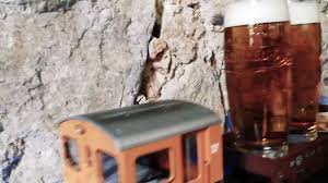 Image result for pints of beer and trains