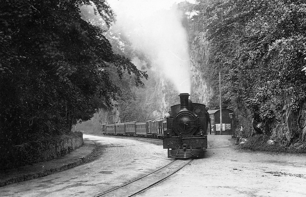 Carrigrohane Station
