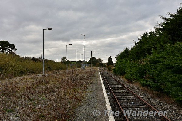 The disused Campile Station on the mothballed Waterford to Rosslare Strand Railway. Mon 28.10.19