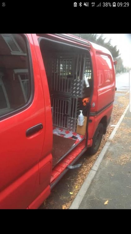 Image may contain: car and outdoor