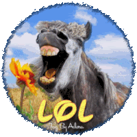 adb252Dlol252Dtag252Dlol.gif~c200