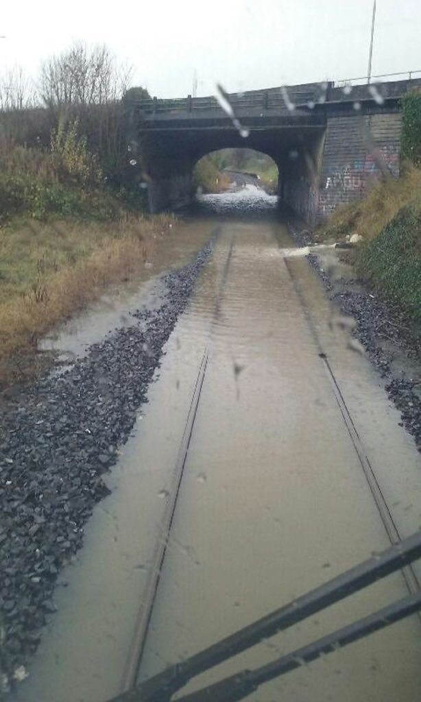 CWBwY5IXAAA-9Ua.jpg:large