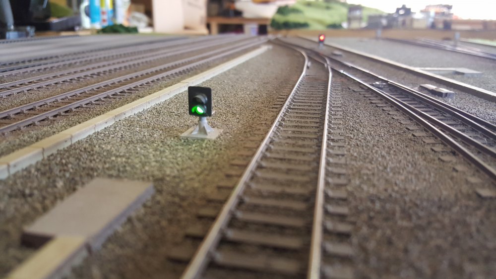 2016-05-17 15.22.26.jpg