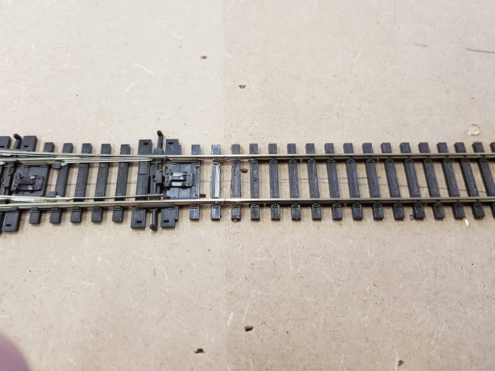 2018-07-11 16.05.47.jpg