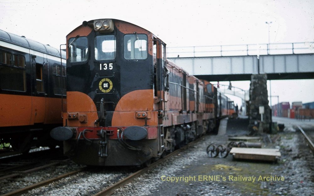 Longford B135 + B132img310.jpg