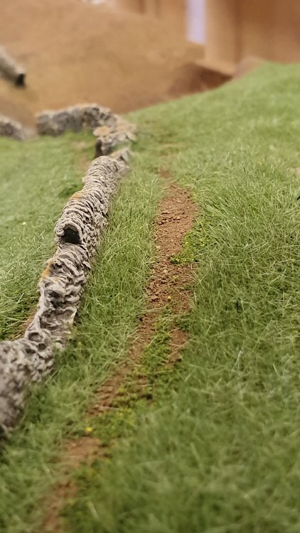 2019-11-12 13.22.44.jpg