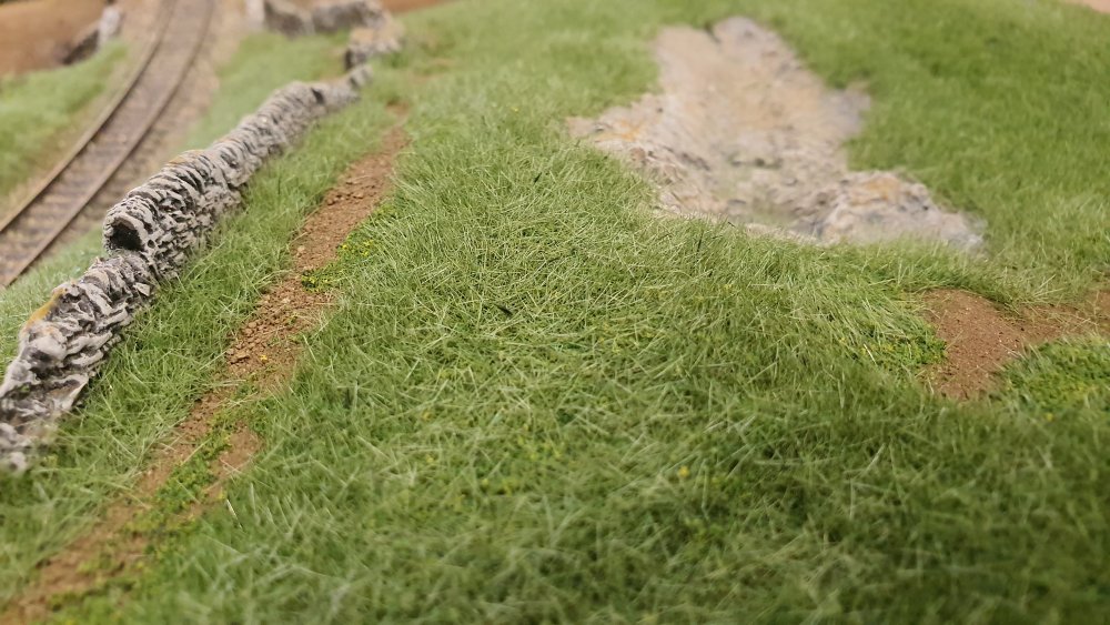 2019-11-12 13.22.29.jpg