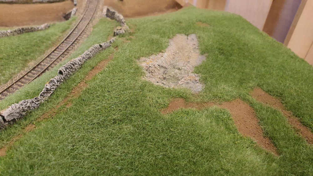 2019-11-12 13.22.21.jpg