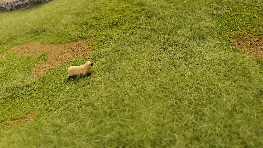 2019-11-12 13.27.17.jpg