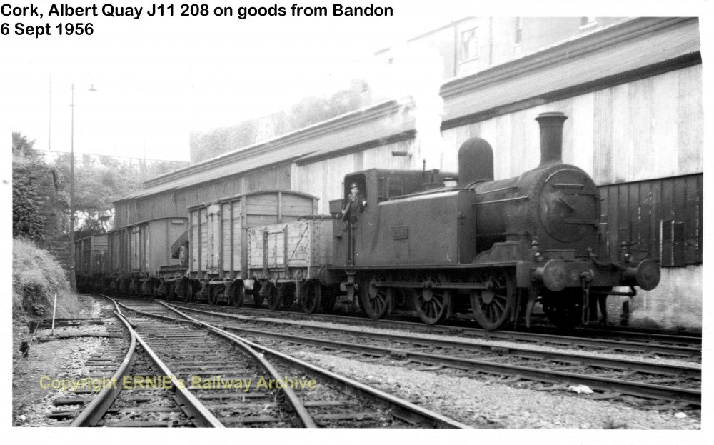 364 CBSC 1956-09-06 Cork Albert Quay J11 208 from Bandon on goods coprint364.jpg