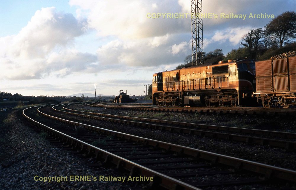 IR 1995-10-28 Waterford Yard 085 Beet lds           G Roose047.jpg