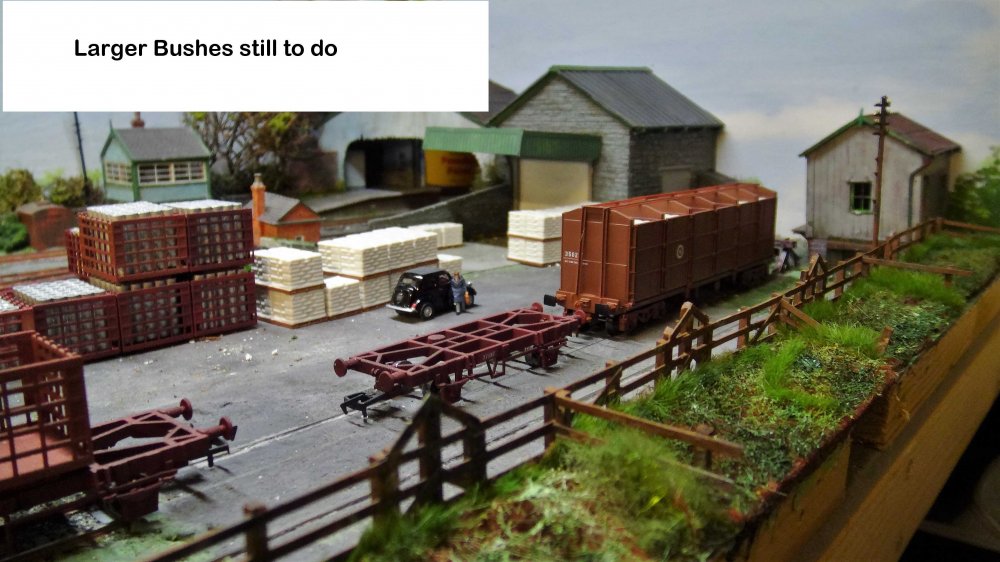 2020-11-11 Glengarriff (9).JPG