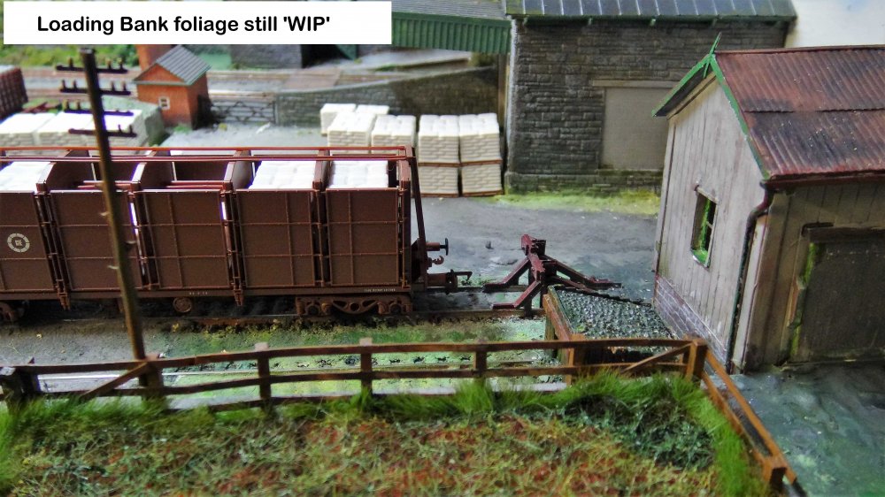 2020-11-10 Glengarriff DSC06711.JPG