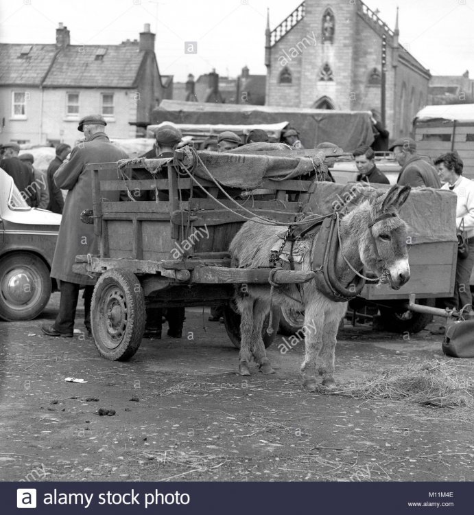 donkey-and-cart-at-galway-market-in-ireland-M11M4E.jpg