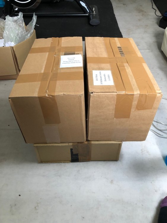 Gone to Pastures new.jpg