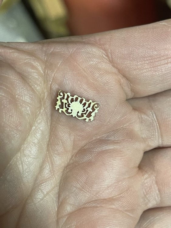 IMG_0962 (Medium).JPEG