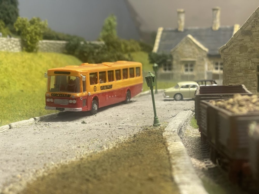 IMG_0942 (Medium).jpeg