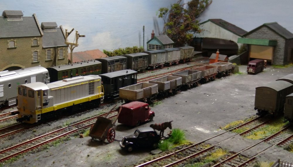 2022-11-20 Glengarriff (3).jpg