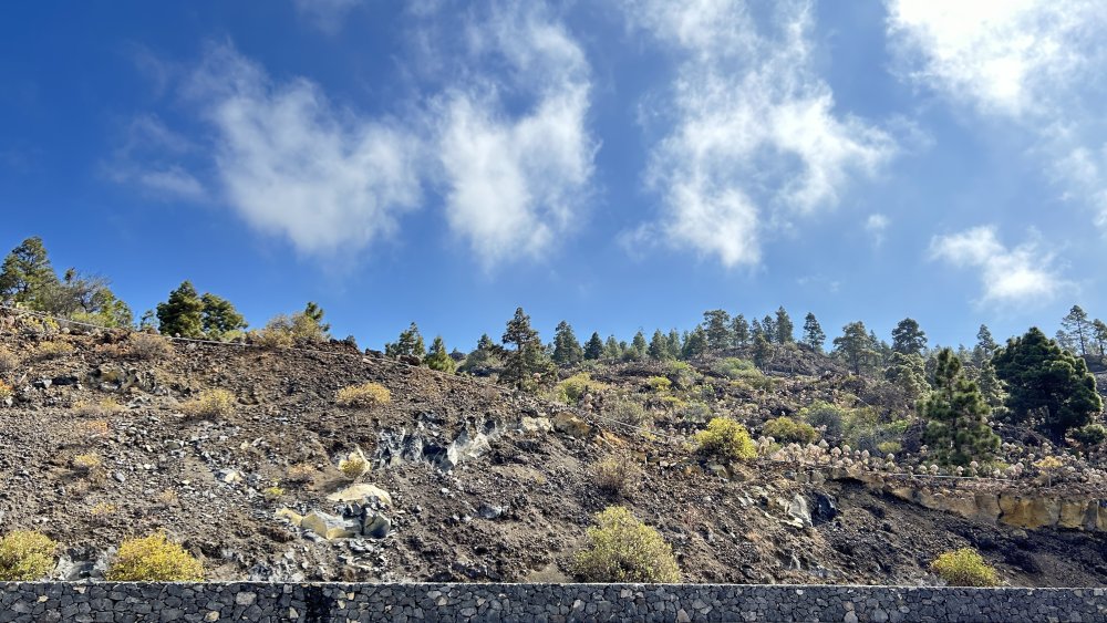 2024-05-13 11.11.16.jpg