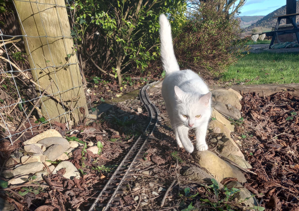 Screenshot 2024-08-09 172613.png