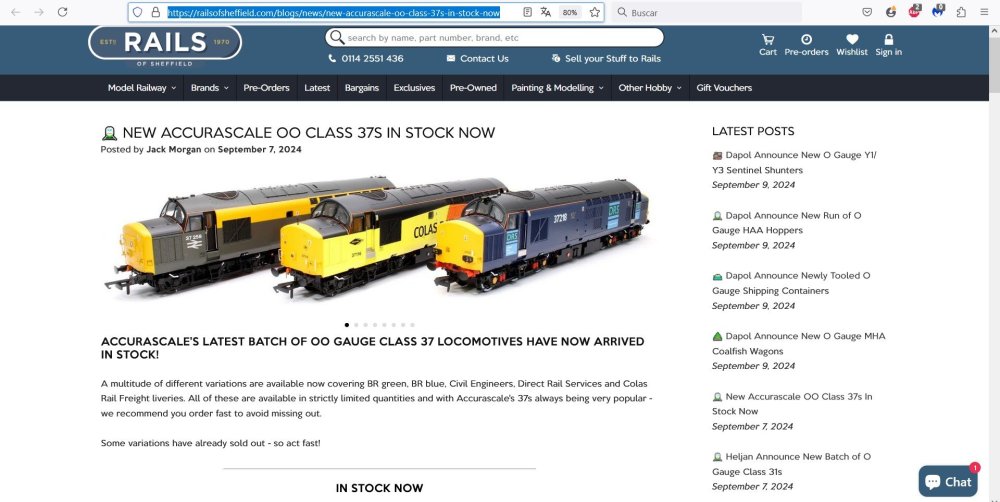 2024-09-09 Rails Of Sheffield 01 Accurascale Class 37.jpg