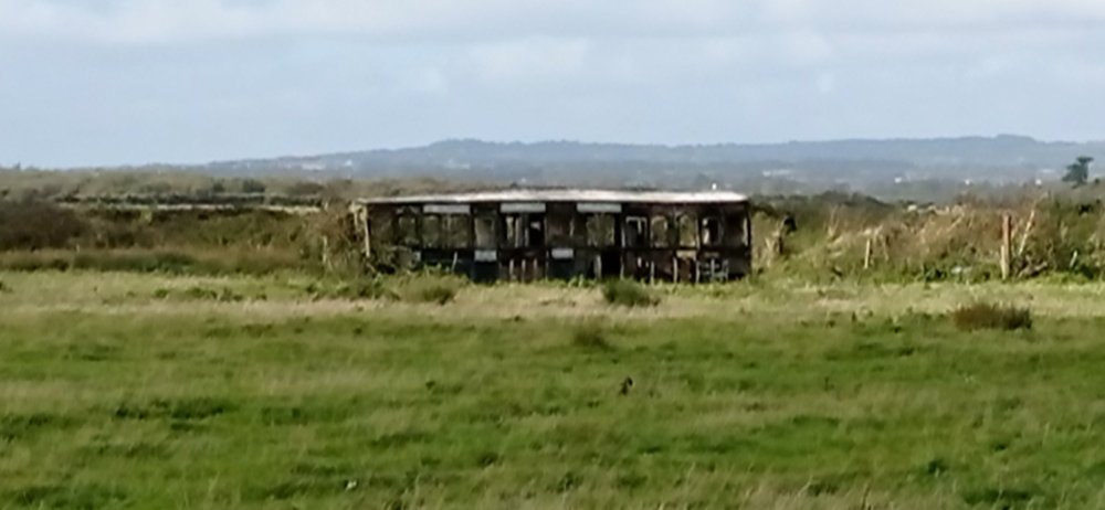 Coach in Rosslare 06.10.2024.jpg