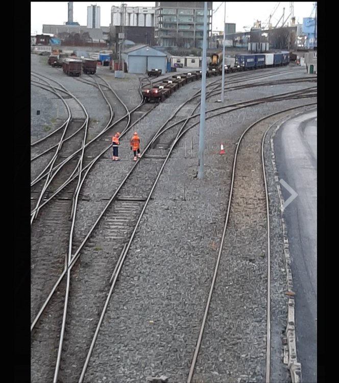 Screenshot_20241212_170944_Samsung Internet.jpg