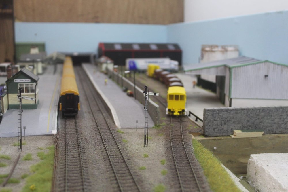 WhatsApp Image 2025-03-03 at 18.56.18 (7).jpeg