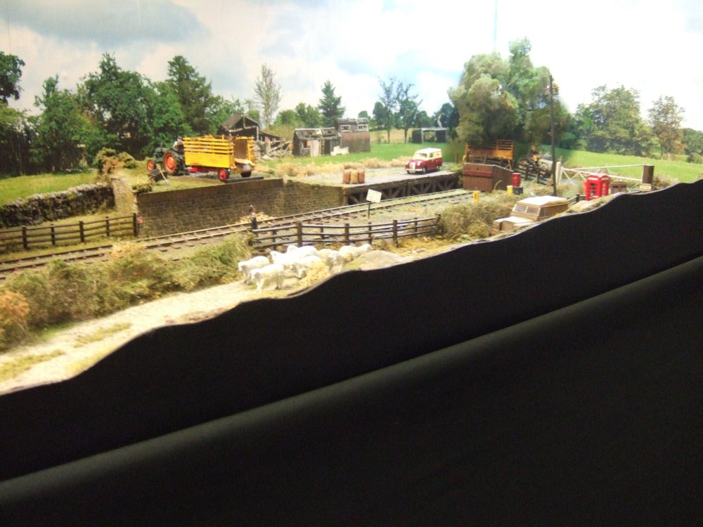 DSCF5624 - Copy - Copy.JPG