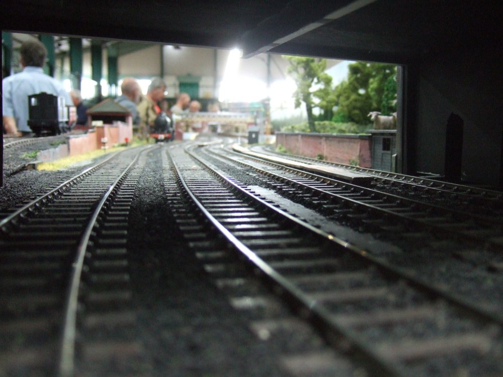 DSCF5631 - Copy - Copy.JPG