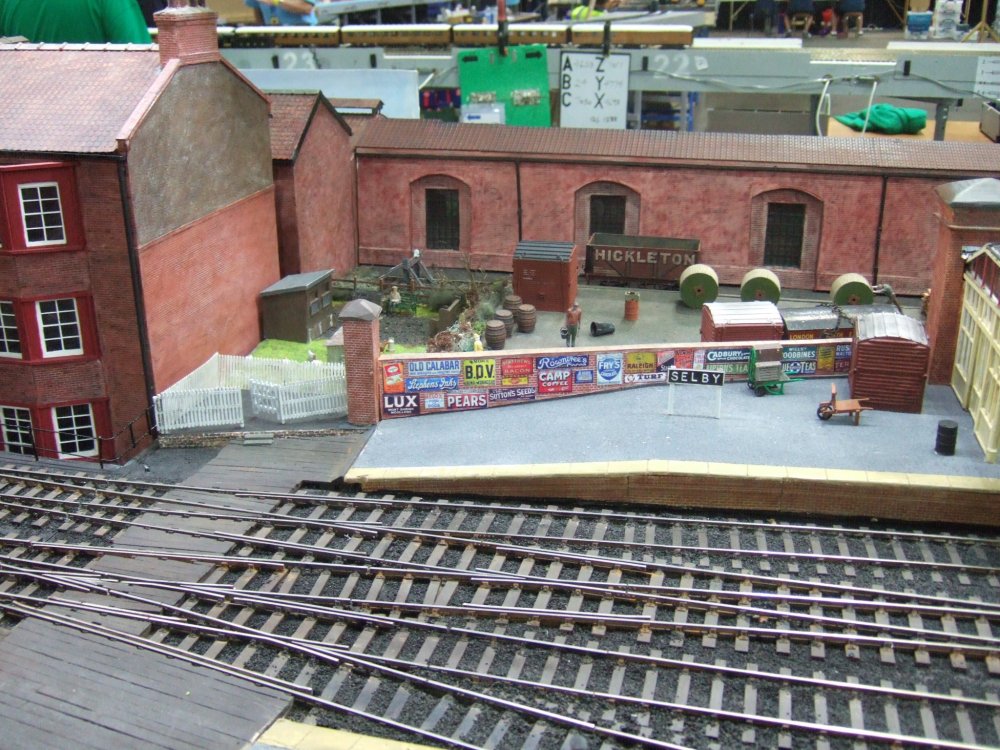 DSCF5637 - Copy - Copy.JPG