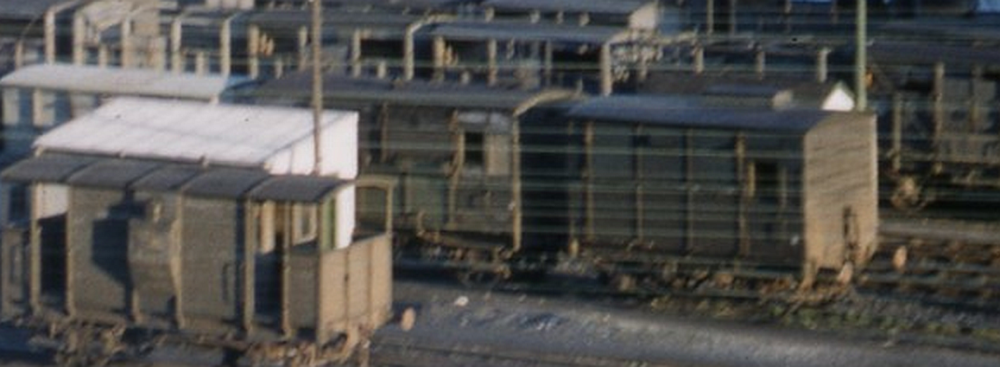 image.thumb.png.d0d9dcd88a1c6b2327e034165ddf9d16.png