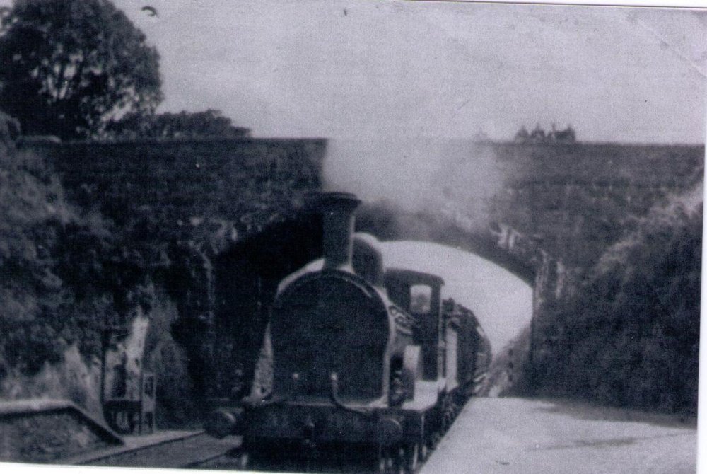 Steam engine arriving from Waterford with Singalmans Platform - date unknown.jpg
