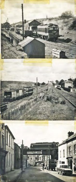 IMG_7920.jpeg